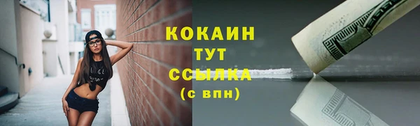 твердый Аркадак