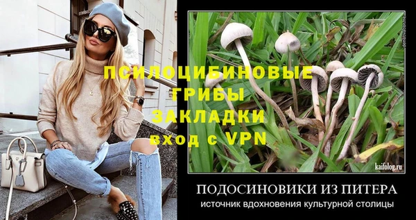 твердый Аркадак