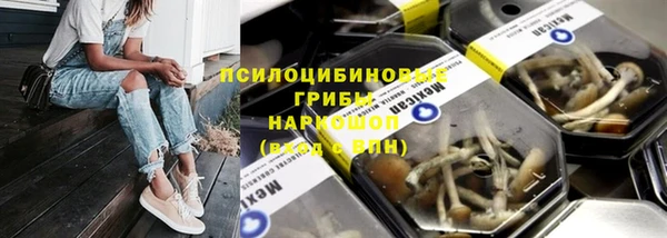 хмурый Армянск