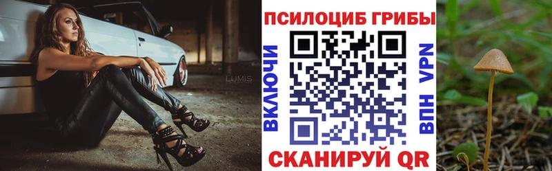 Галлюциногенные грибы Cubensis Минусинск